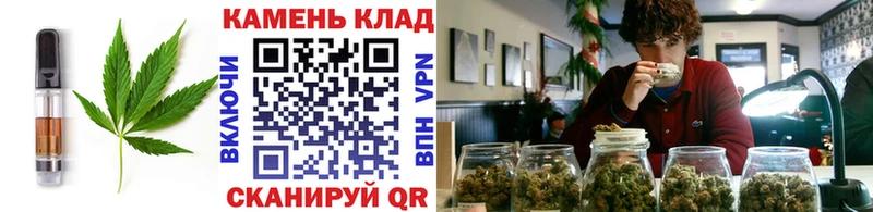 Cannafood конопля  Талица 
