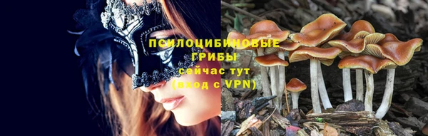 шишки Алексеевка