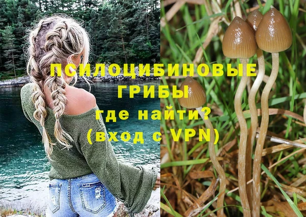 ALPHA PVP Алзамай