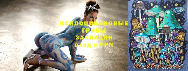 шишки Алексеевка