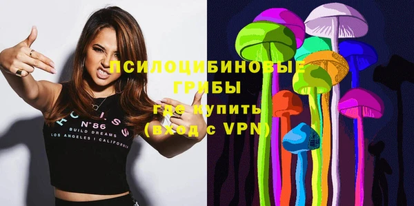 шишки Алексеевка
