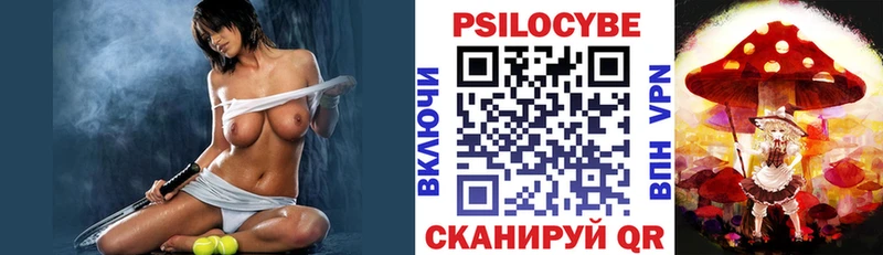 Псилоцибиновые грибы Psilocybe  Талица 